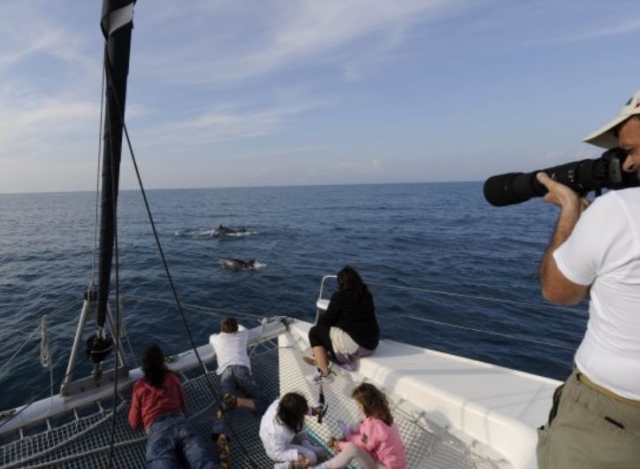  Avistamiento de delfines 